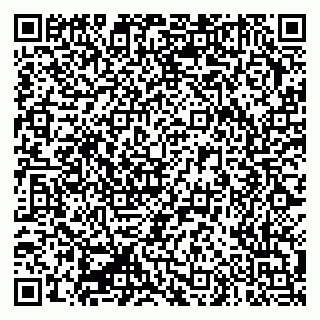 vCard 79335550153
