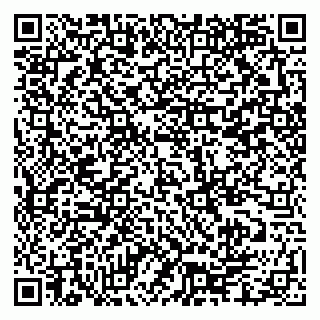 vCard 79335550155