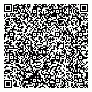 vCard 79335550161