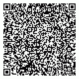 vCard 79335550163