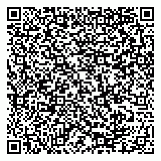 vCard 79335550174