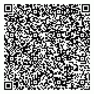 vCard 79335550176