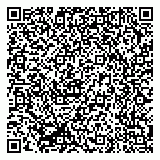vCard 79335550177