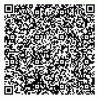 vCard 79335550182