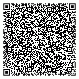 vCard 79335550188