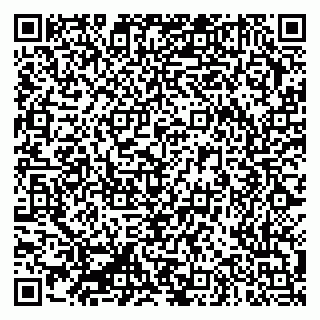 vCard 79335550191