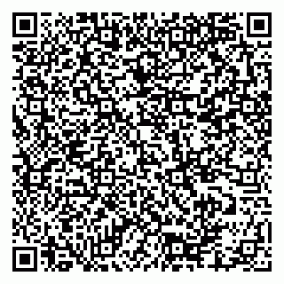 vCard 79335550193