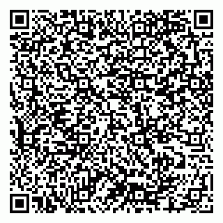 vCard 79335550198