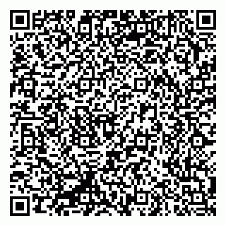 vCard 79335550199