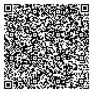 vCard 79335550201