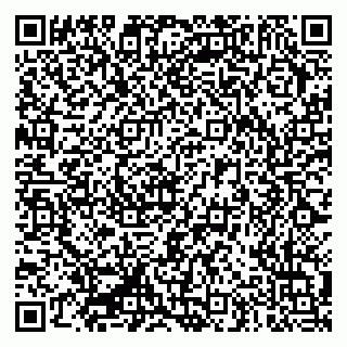vCard 79335550203