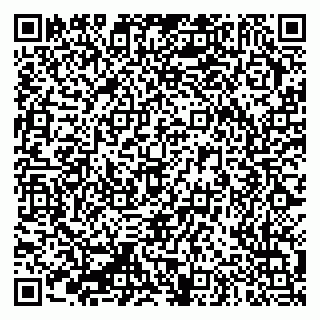 vCard 79335550205
