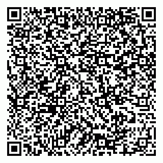 vCard 79335550206