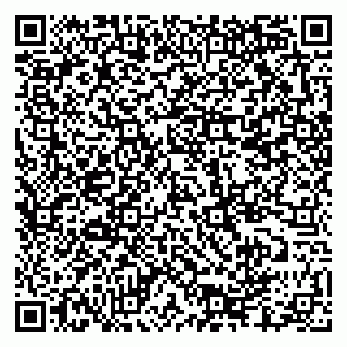 vCard 79335550207