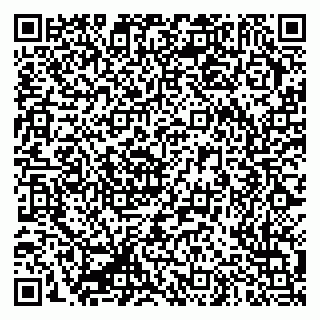 vCard 79335550208