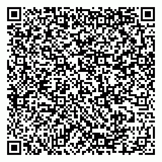 vCard 79335550209