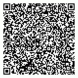 vCard 79335550210