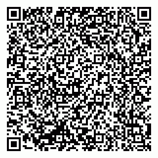 vCard 79335550213