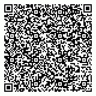 vCard 79335550214