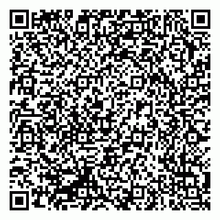 vCard 79335550217