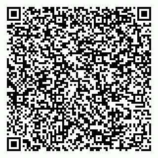 vCard 79335550218
