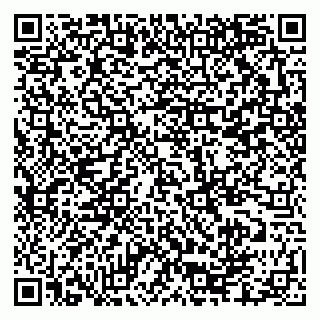 vCard 79335550219