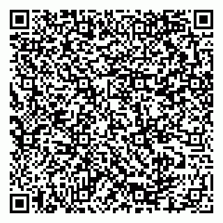vCard 79335550220