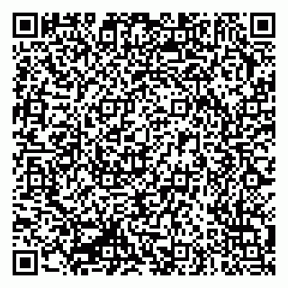 vCard 79335550222