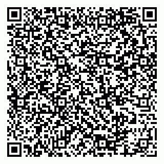 vCard 79335550223