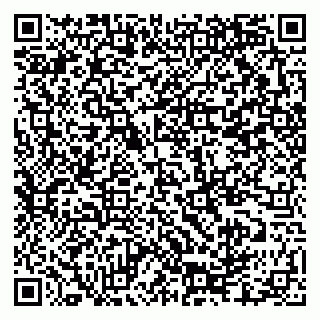 vCard 79335550226