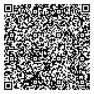 vCard 79335550229