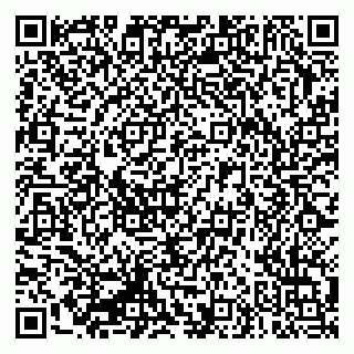 vCard 79335550233