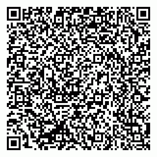 vCard 79335550238
