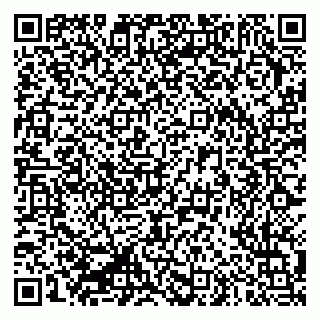 vCard 79335550249