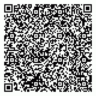 vCard 79335550251