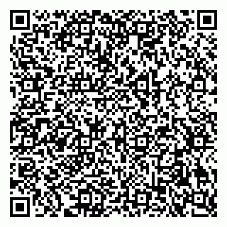 vCard 79335550252