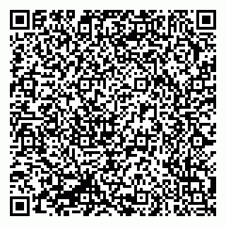 vCard 79335550253