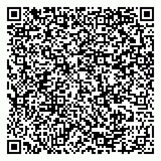 vCard 79335550256