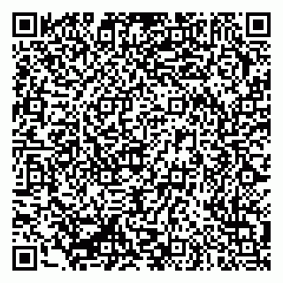 vCard 79335550258
