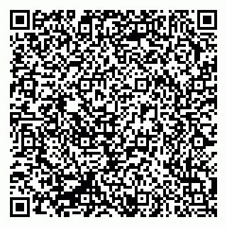 vCard 79335550259
