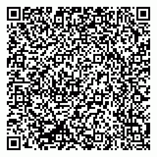 vCard 79335550263
