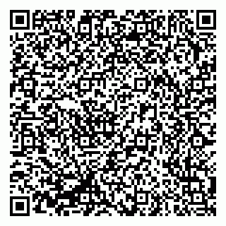vCard 79335550269