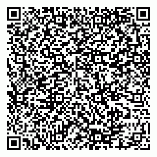 vCard 79335550271