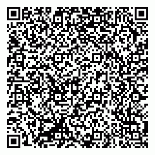 vCard 79335550272