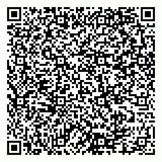 vCard 79335550274