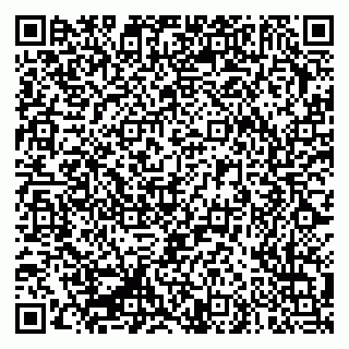 vCard 79335550275