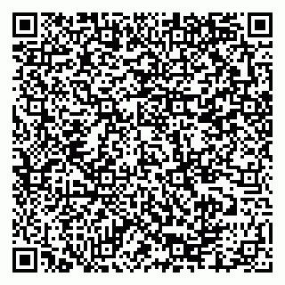 vCard 79335550277