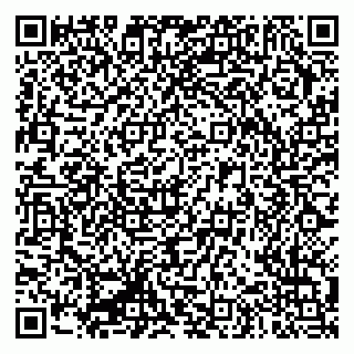 vCard 79335550287