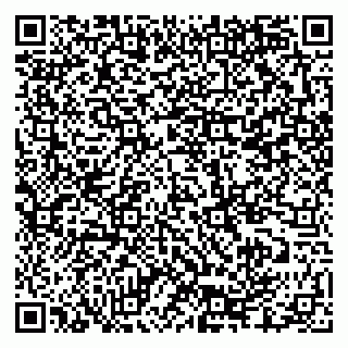 vCard 79335550288