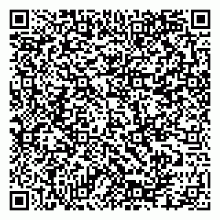 vCard 79335550291